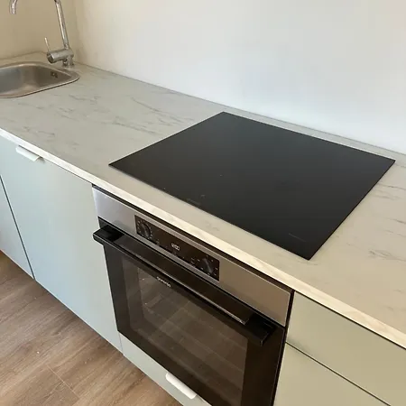 Apartment Roko *