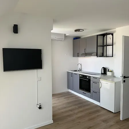 Apartment Roko *