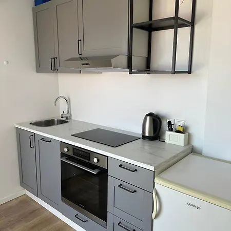 Apartment Roko *
